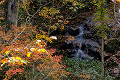 群馬の紅葉