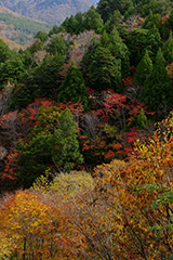 群馬の紅葉