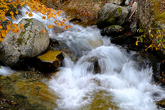 紅葉の渓流