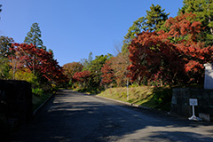 紅葉の皇居乾通り