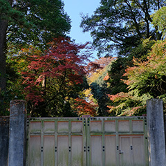 皇居乾通りのフォト作品