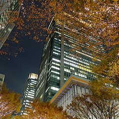 東京丸の内イルミネーションのフォト作品