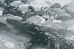 冬の氷紋