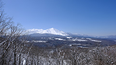 冠雪した冬の浅間山