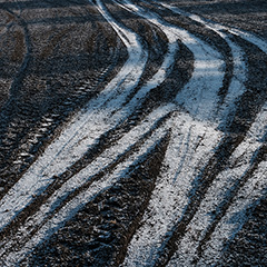 畑のフォト作品