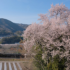 SLみなかみのフォト作品