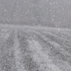 降雪のフォト作品