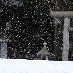 降雪のフォト作品