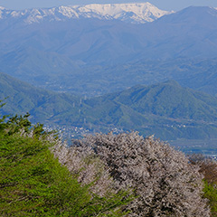 苗場山のフォト作品