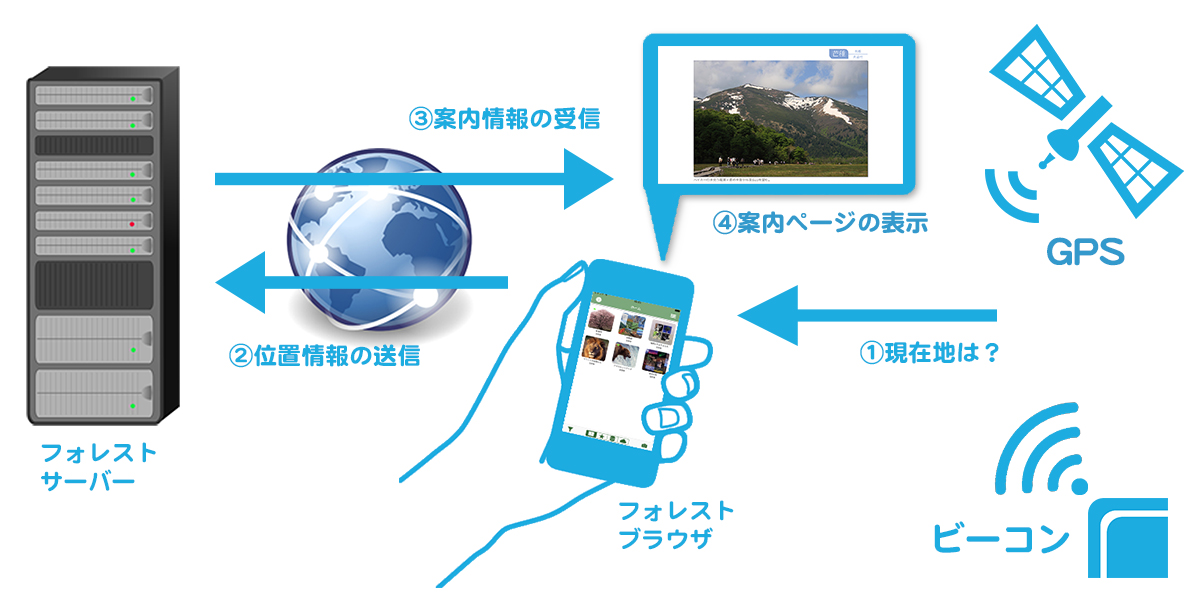 コンパスの概念図