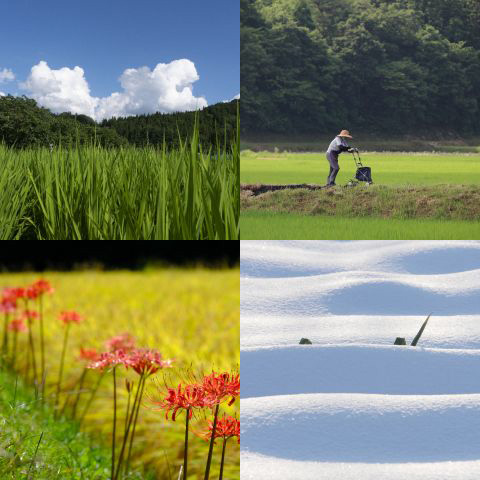 おすすめのテーマ『里山』