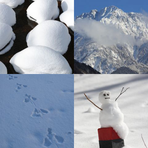 おすすめのテーマ『雪景色』